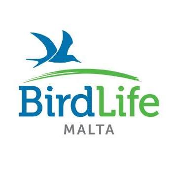 Birdlife Malta